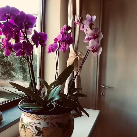 Poseidone Holiday home