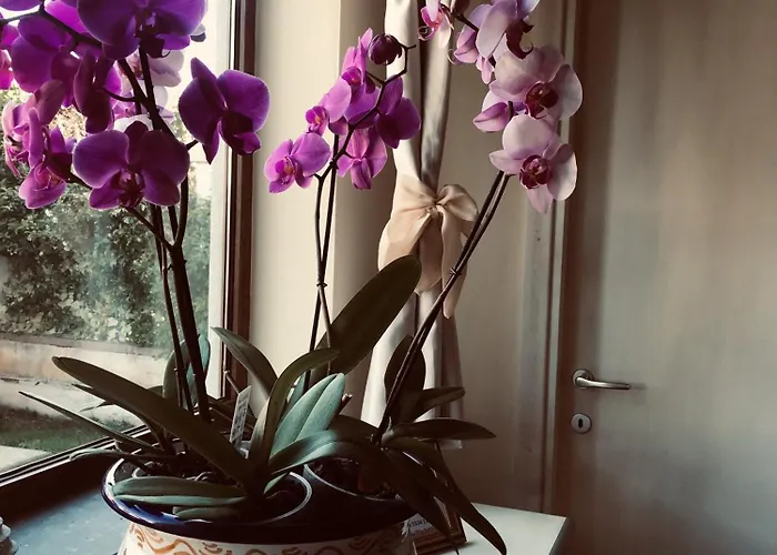 Poseidone * Villasimius